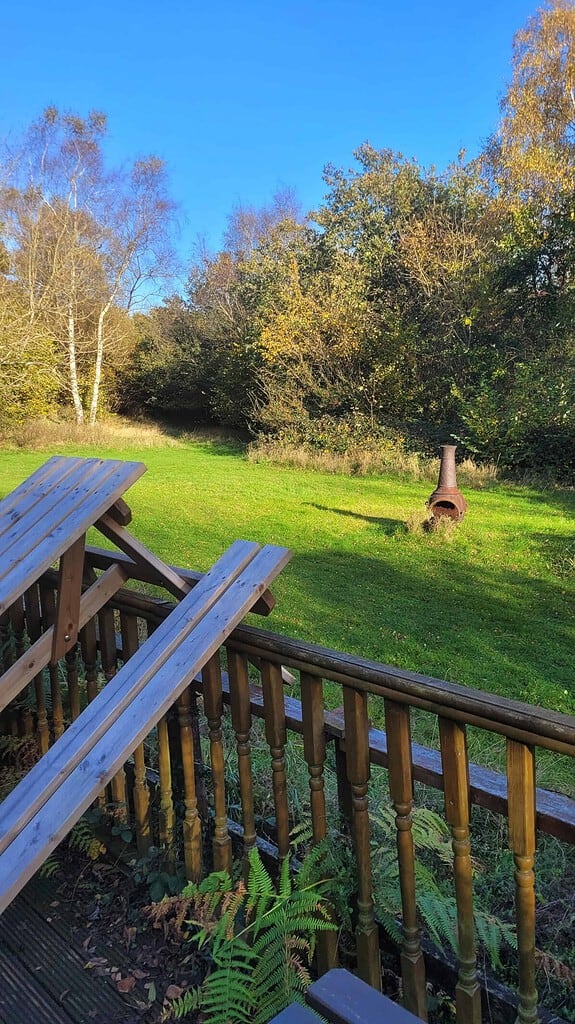 Naturist nudist nude naked penis in outdoor natural setting with trees and blue sky.