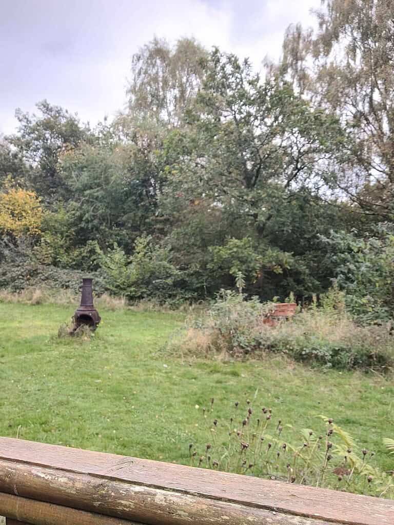 Naturist nudist nude naked penis in outdoor natural setting.