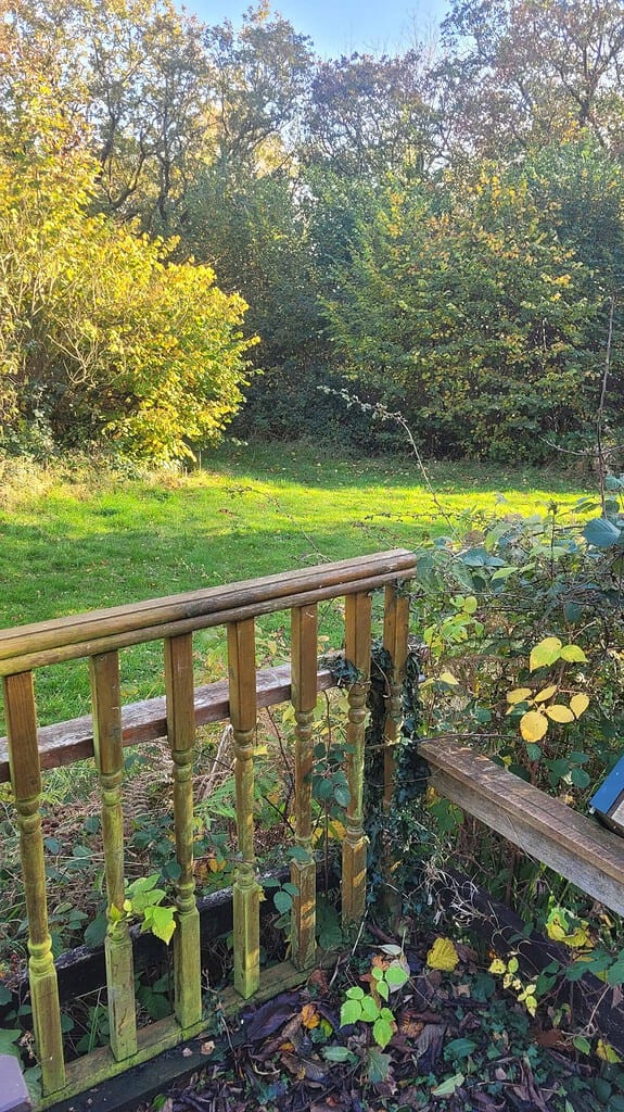 Natural outdoor scene with focus on nudity and penis in a naturist setting.