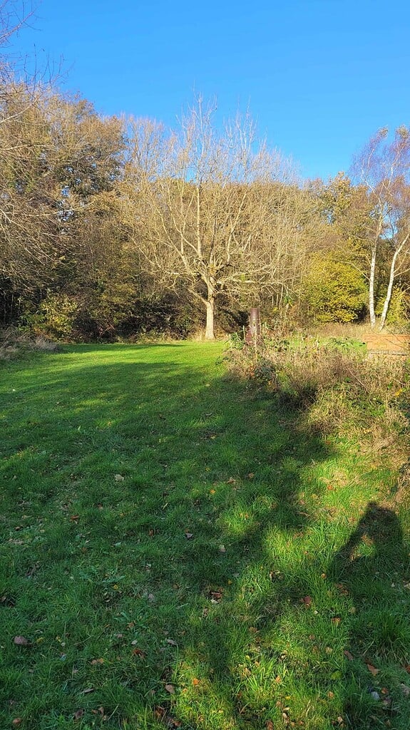 Naturist nudist nude naked penis in natural outdoor setting with trees and grass.